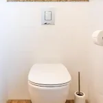 Lapila